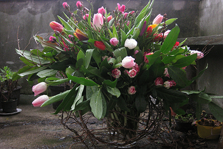 Tulpenstrauß